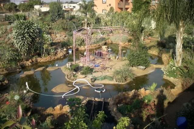 Backyard Aquaponics • View topic - My pond and Koi