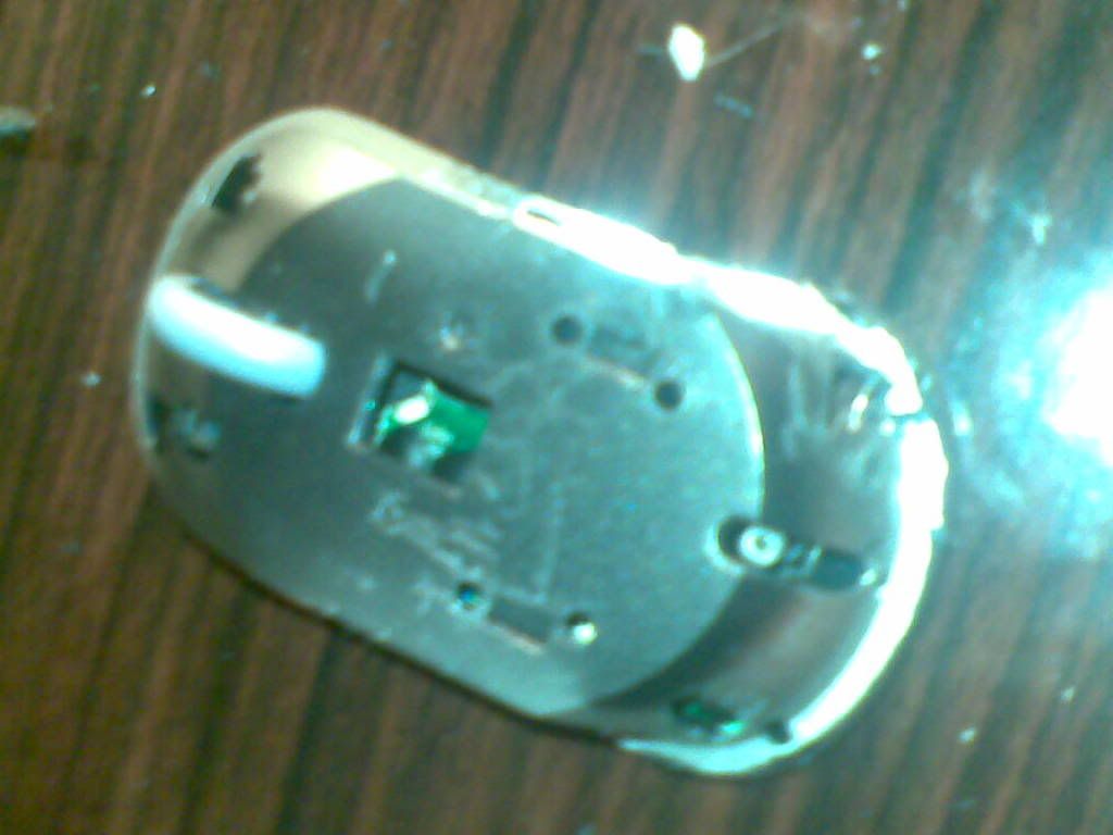 12062011009.jpg