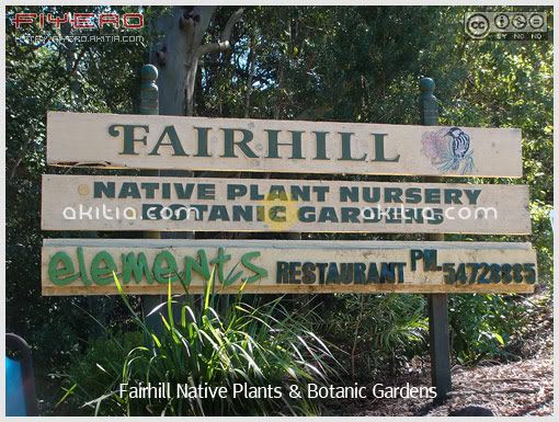 Fairhill Native Plants and Botanic Gardens, ร้านต้นไม้, สวนต้นไม้, ต้นไม้, ดอกไม้, aKitia.Com Fairhill Native Plants and Botanic Gardens, ร้านต้นไม้, สวนต้นไม้, ต้นไม้, ดอกไม้, aKitia.Com