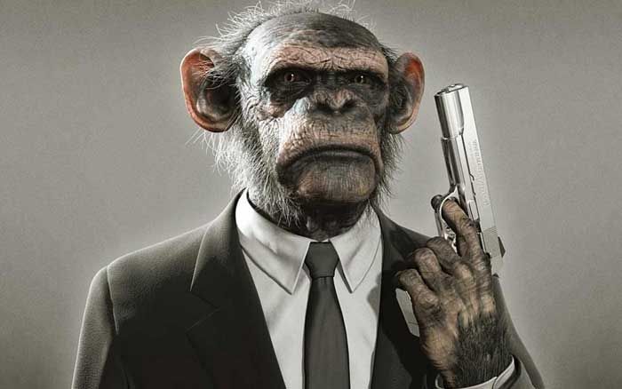 MonkeyWithGun.jpg