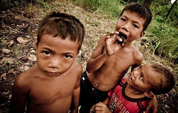 Niños camboyanos cazando tarántulas