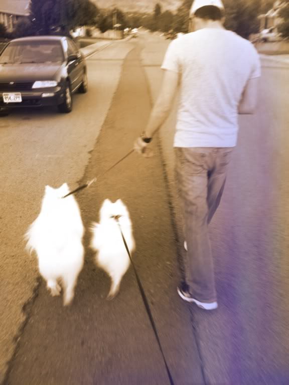 Snapbucket,Filter: Sepia Tint,Set: Cool,Effect: Blue Leak,Original