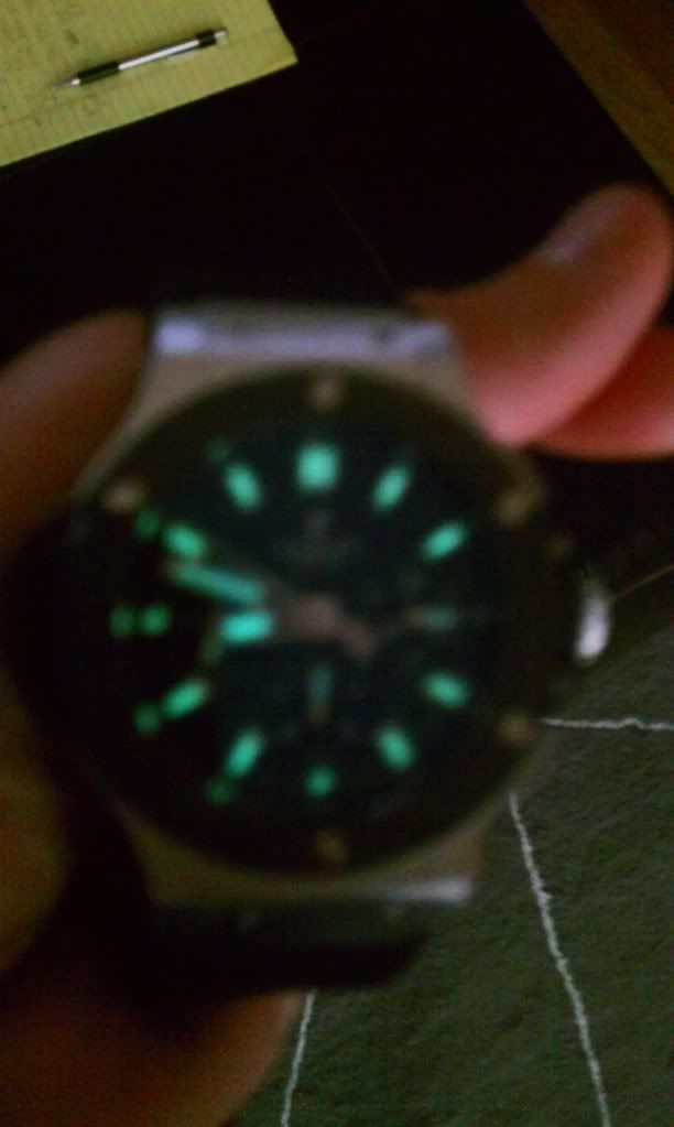 IMAG0781.jpg