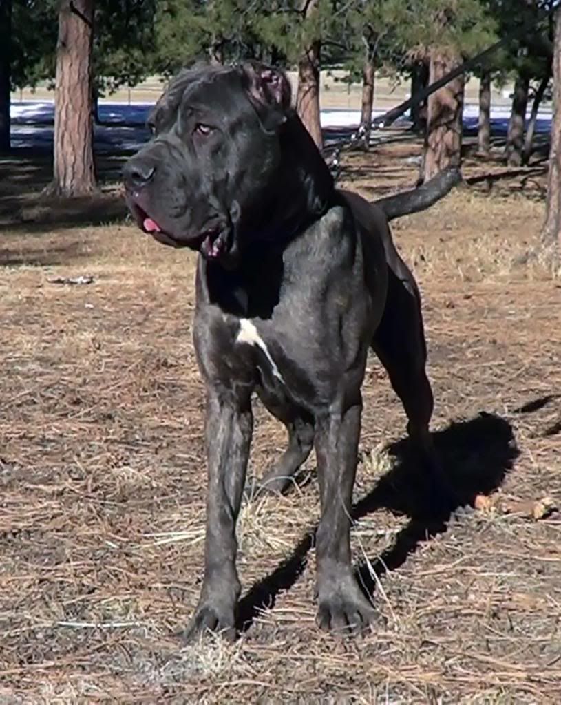 photo 02Brennius11months2_zps6f2828b9.jpg