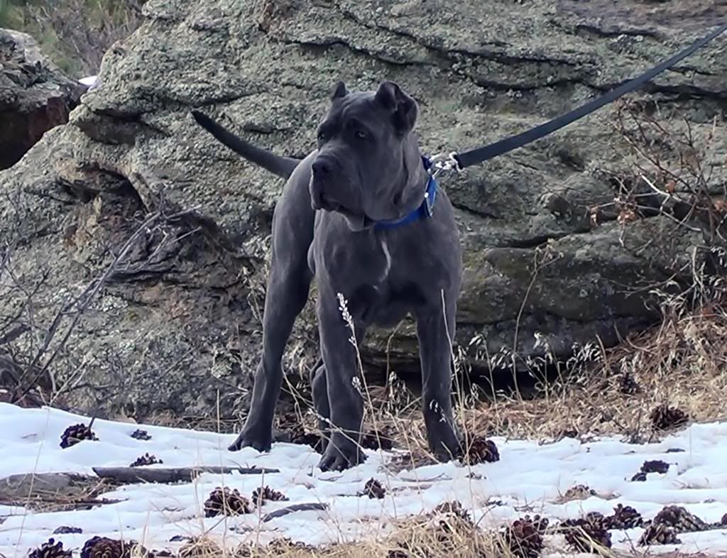 photo Cronus5months_zpsf9027b5a.jpg