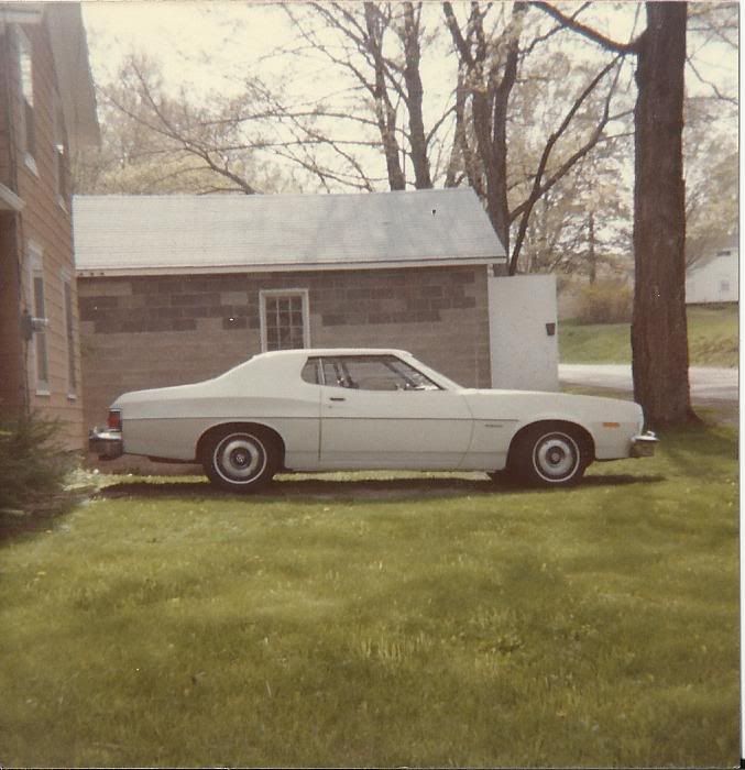 73 Gran Torino wagon with 302 We had that one for several months in 1977