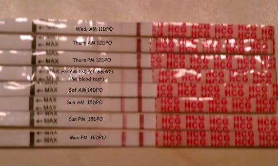 hcg levels the bump pregnancy test comparison chart