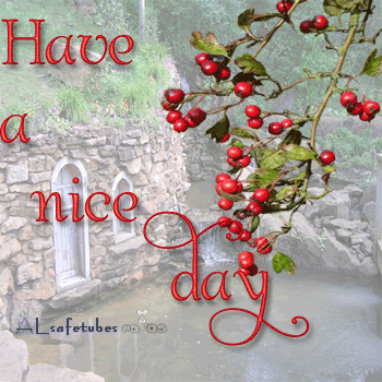 Have a Nice Day 1 Pictures, Images and Photos