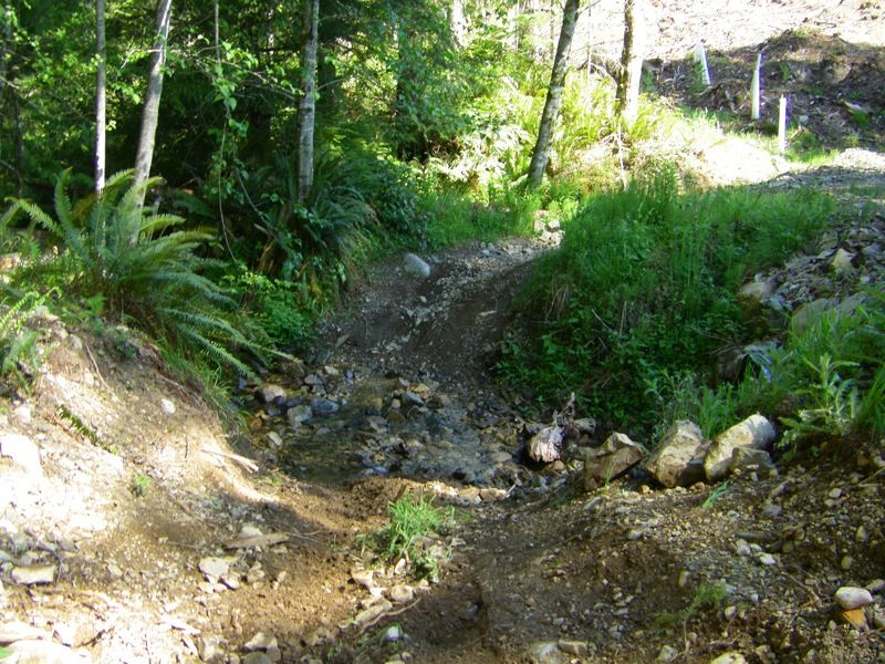 file-11.jpg