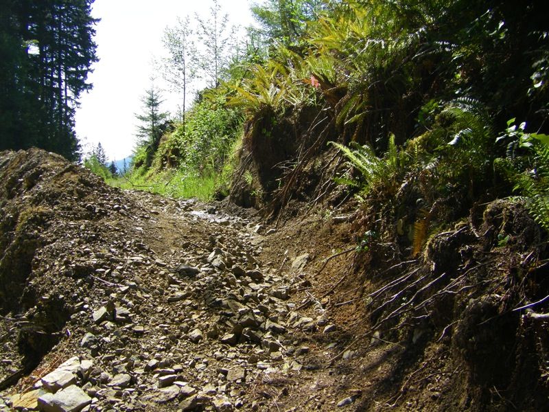 file-12.jpg