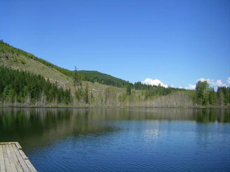 file-13.jpg
