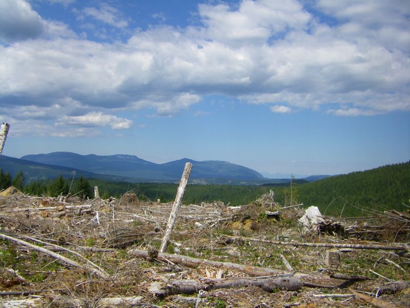 file-15.jpg