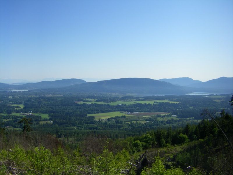 file-5.jpg