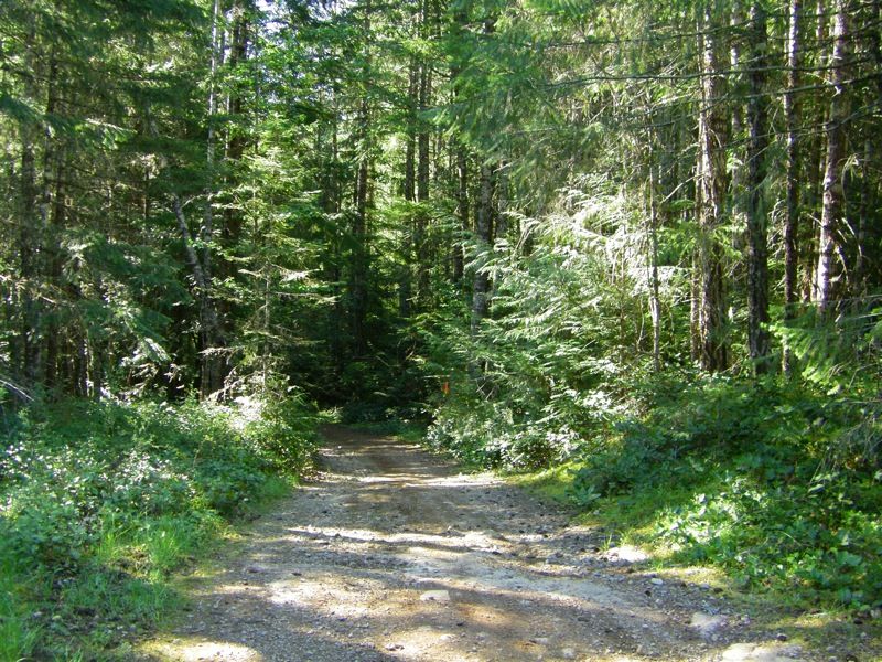 file-6.jpg