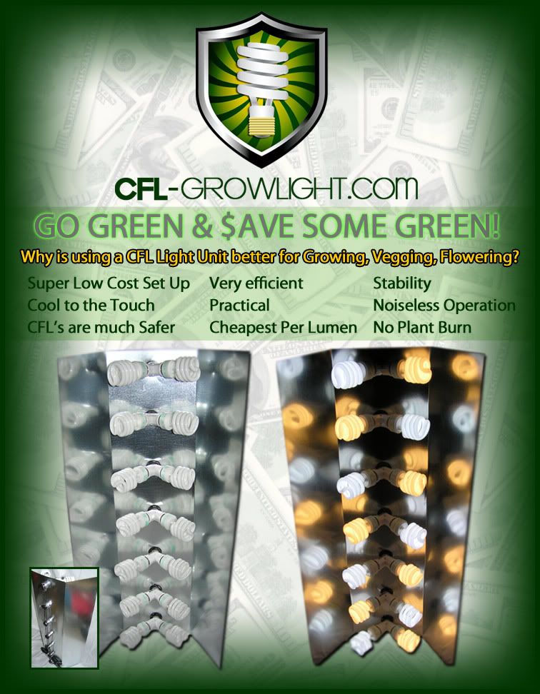 Killer CFL Grow Lights!