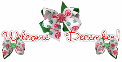 Christmas Divider Photo Picture