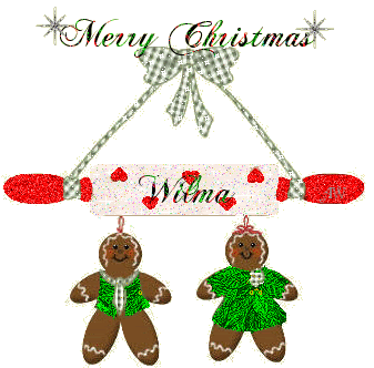 Christmas Divider Photo Picture