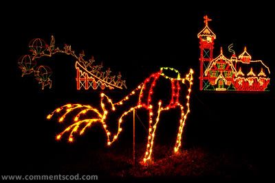 Christmas Light Photo Picture
