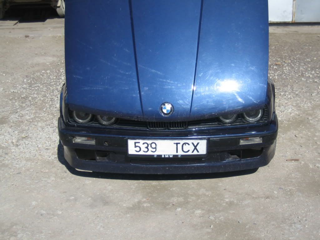 kevad2011006.jpg