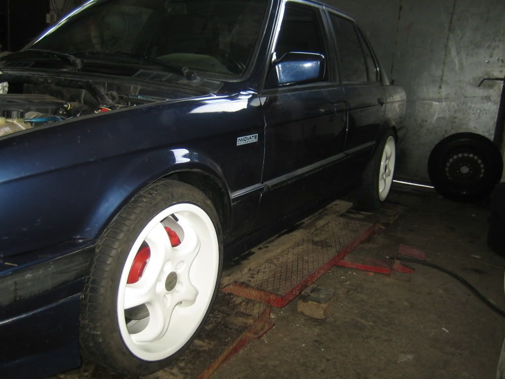 valgevelg001.jpg