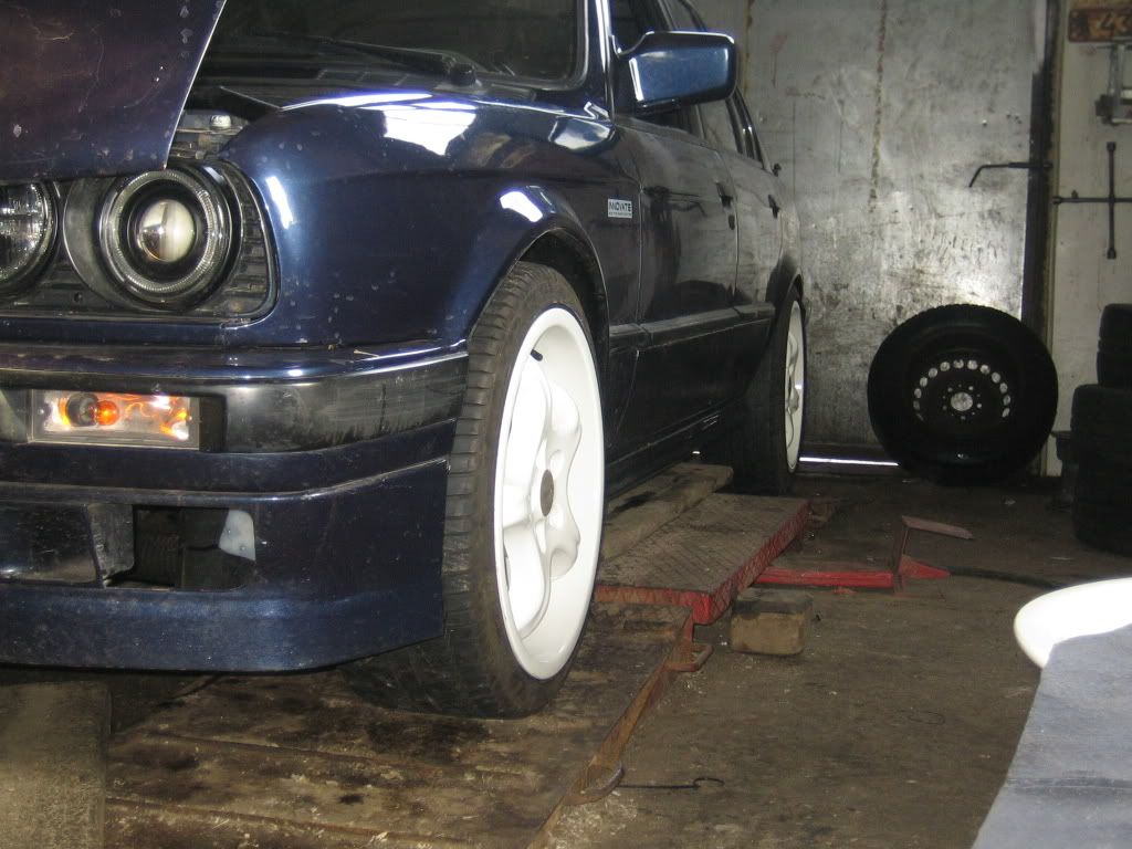 valgevelg003.jpg