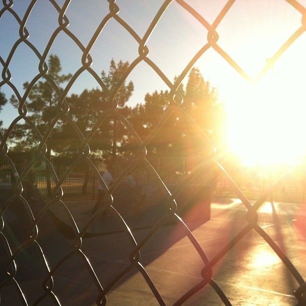  photo 19804_10151436660043550_123639832_n_zps9d5753dd.jpg