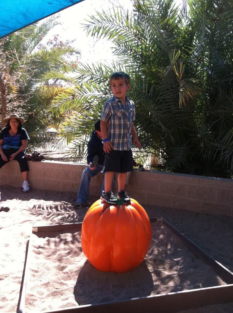 photo 62-shaelittlepeopleonpumpkin_zps21369102.jpg