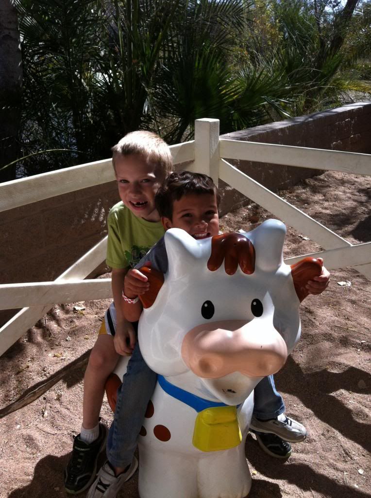 photo 66-wyattoncow_zpsfed28c68.jpg
