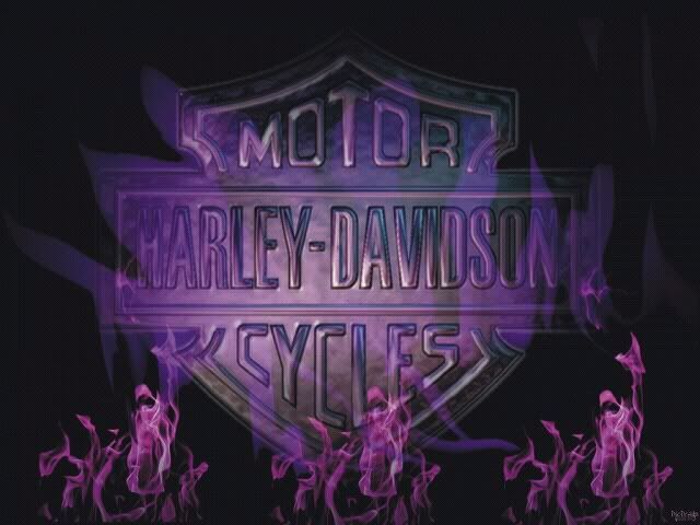 harley davidson photo:  motorcycles_harley-davidson_300x225_35354_-_harley-davidson_purple.jpg