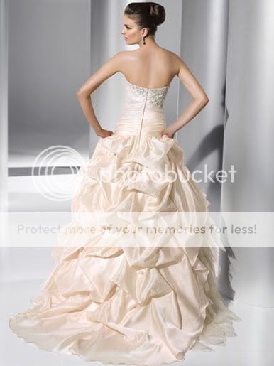   Champagne Bride Wedding Dress Prom Evening Gown Robe All Size  